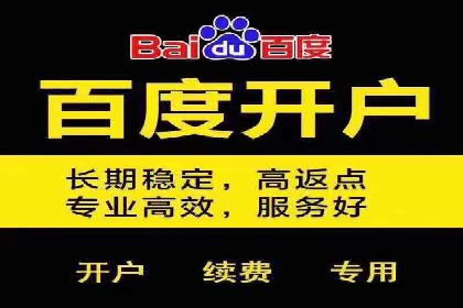 百度推广公司案例展示：揭秘传统行业如何实现互联网转型
